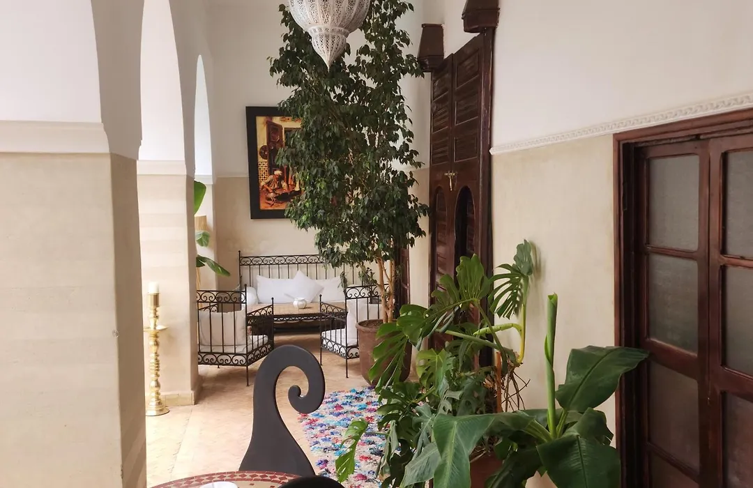 Riad Amira-1